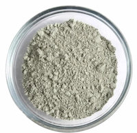 Clinoptilolite Zeolite Powder