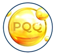 PQQ