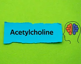 acetylcholine
